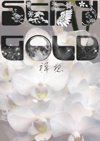 Stay Gold封面
